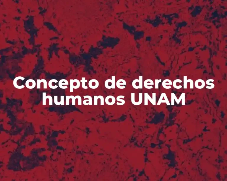 Concepto de derechos humanos UNAM