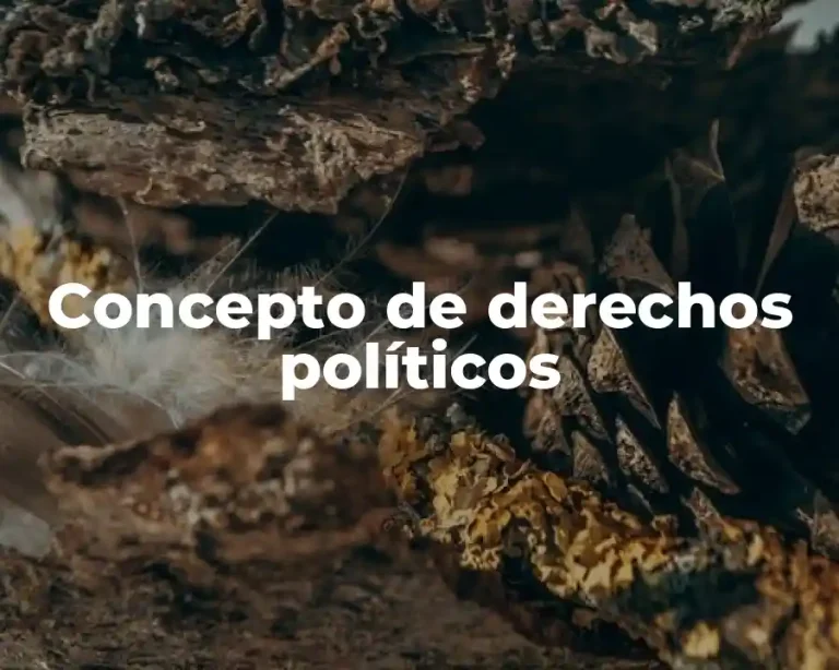 Concepto de derechos políticos