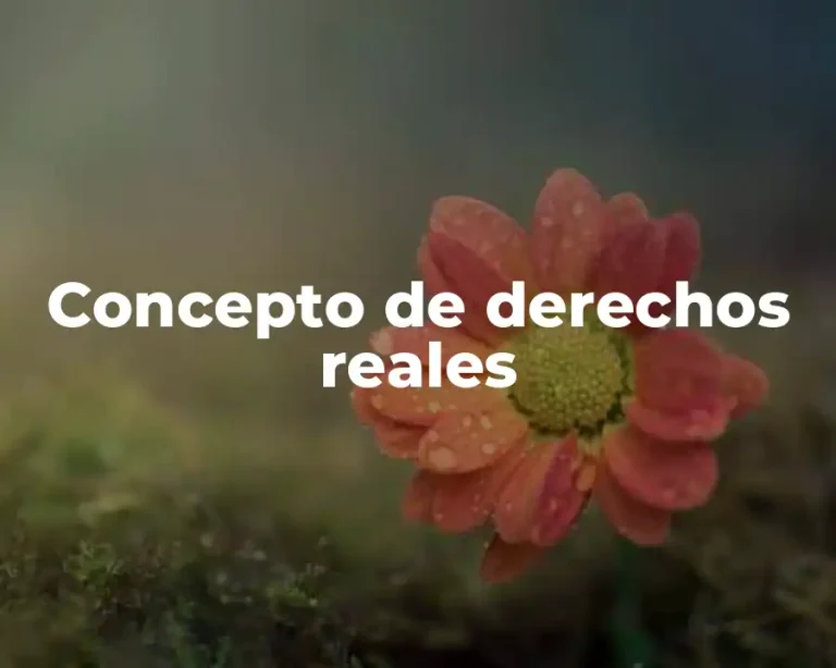 Concepto de derechos reales