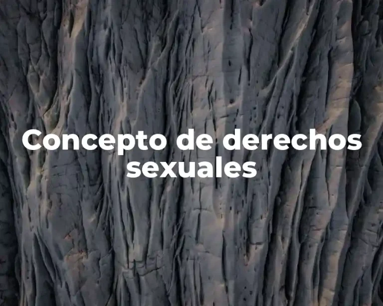 Concepto de derechos sexuales