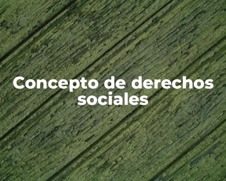Concepto de derechos sociales