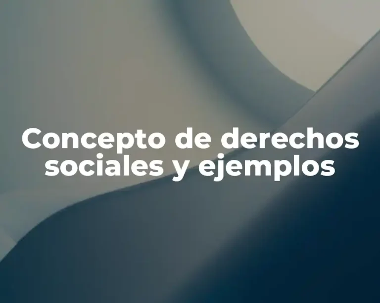 Concepto de derechos sociales y ejemplos