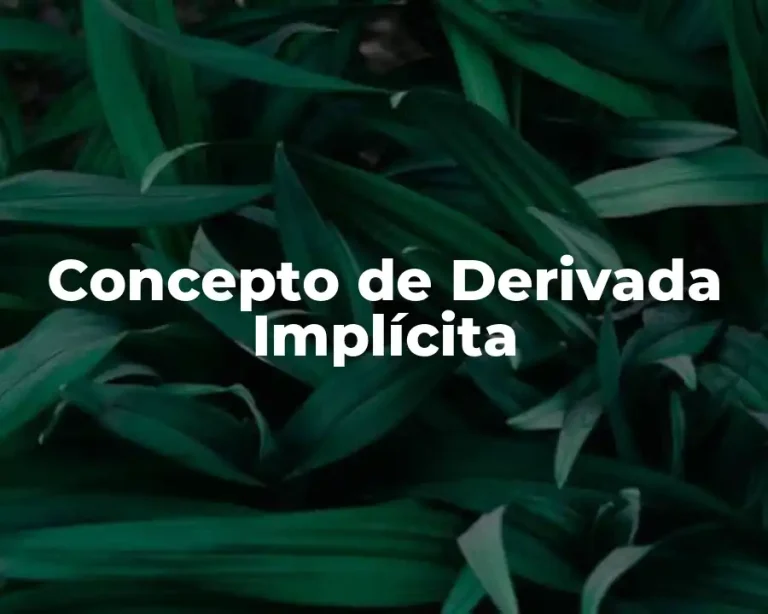 Concepto de Derivada Implícita