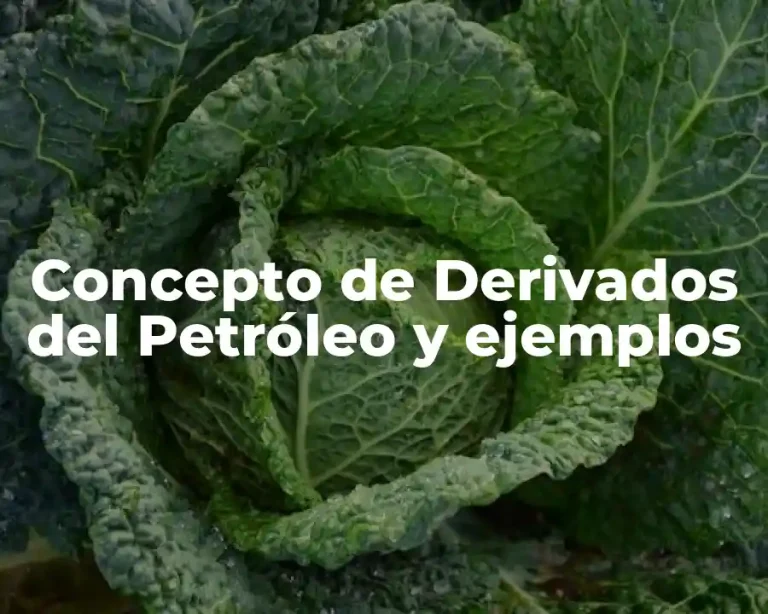 Concepto de Derivados del Petróleo y ejemplos