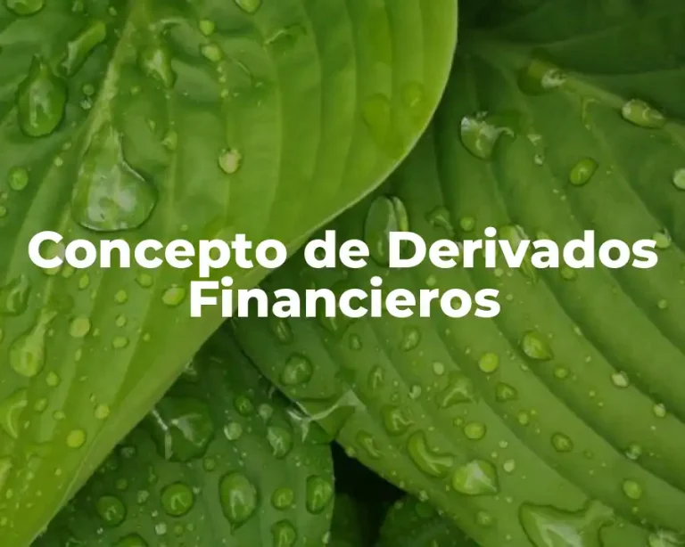 Concepto de Derivados Financieros