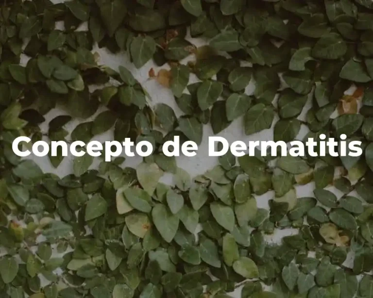 Concepto de Dermatitis