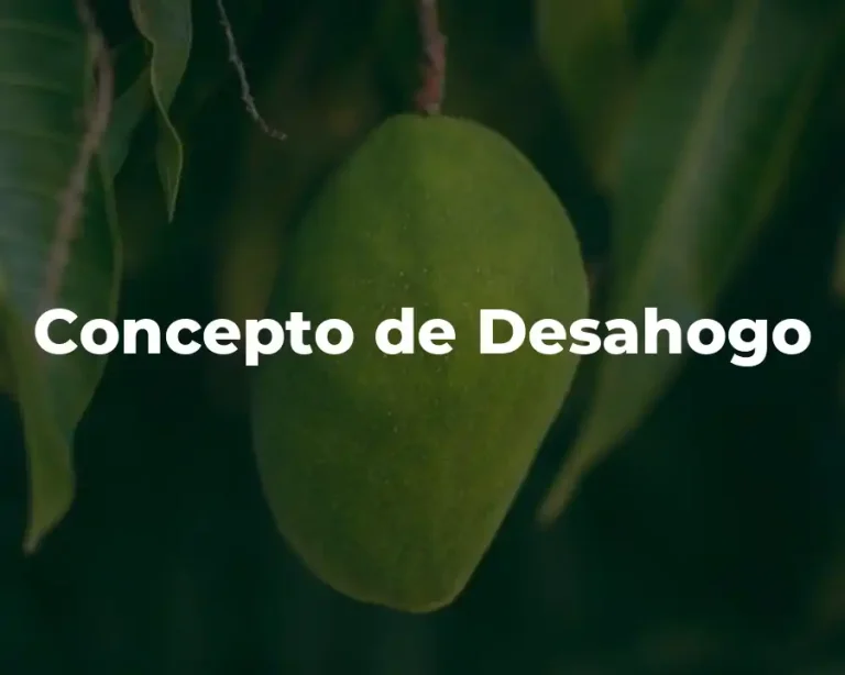 Concepto de Desahogo