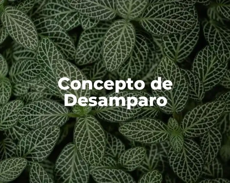 Concepto de Desamparo