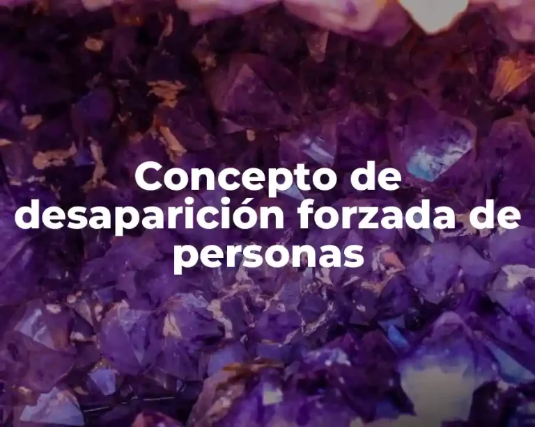 Concepto de desaparición forzada de personas