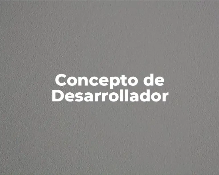 Concepto de Desarrollador