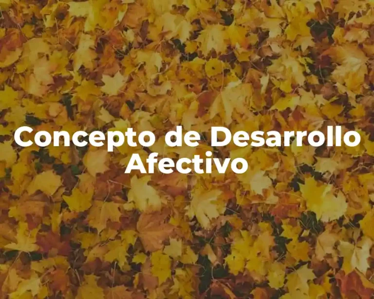 Concepto de Desarrollo Afectivo