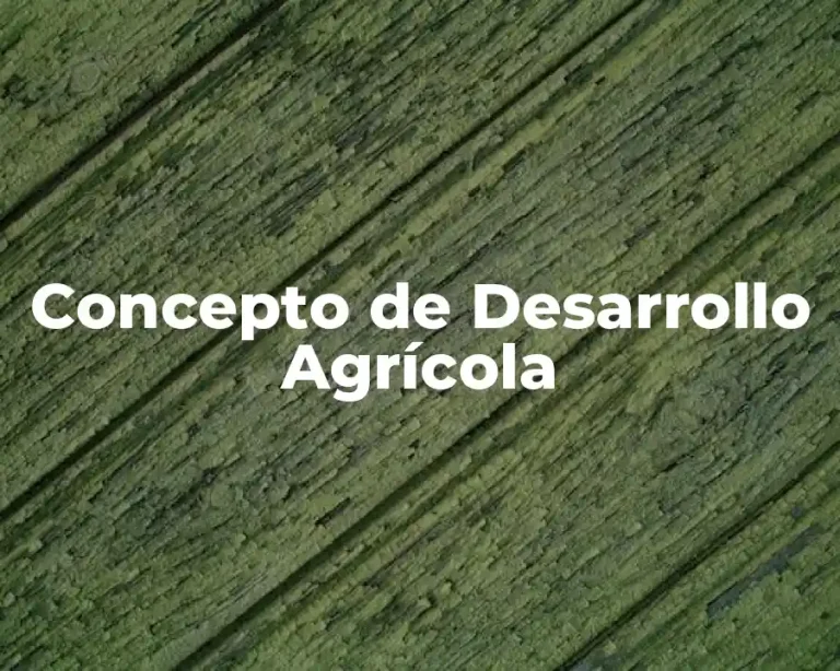 Concepto de Desarrollo Agrícola