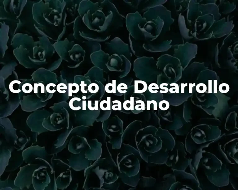 Concepto de Desarrollo Ciudadano