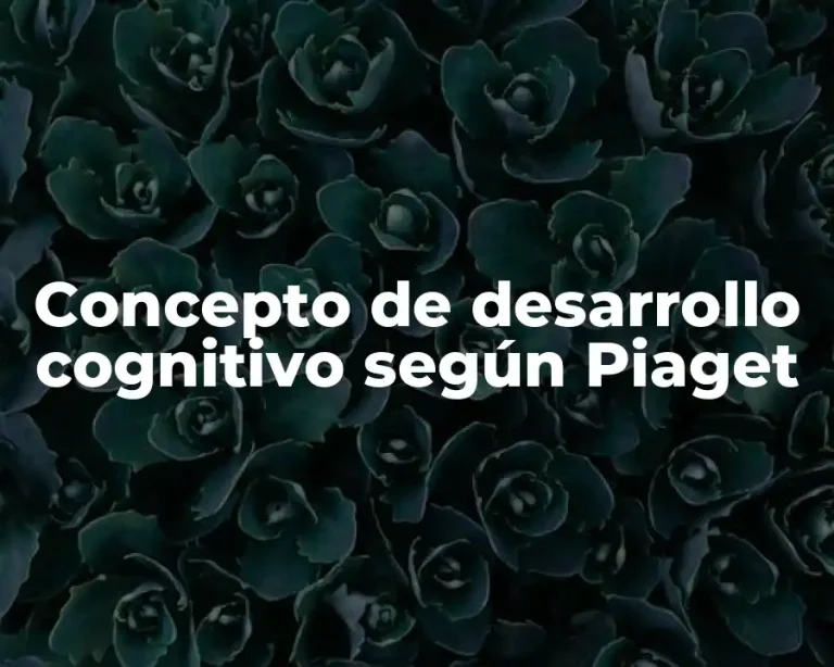 Concepto de desarrollo cognitivo según Piaget