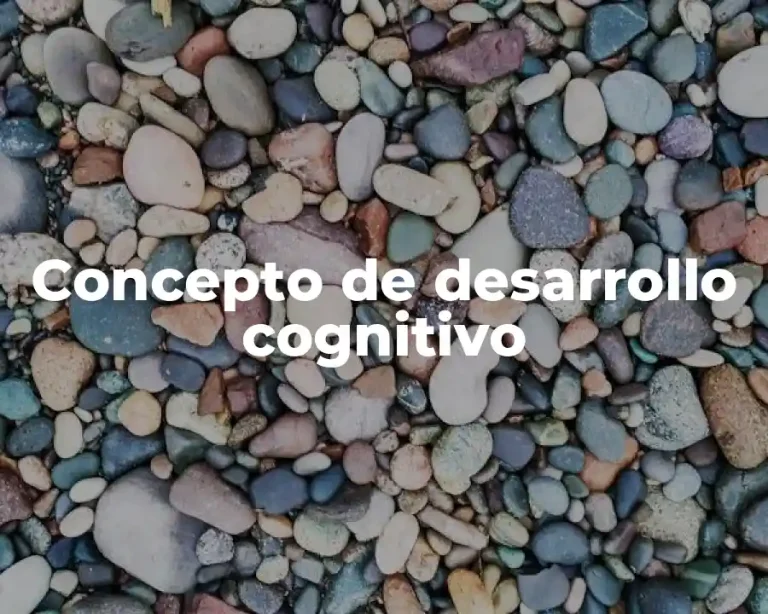 Concepto de desarrollo cognitivo
