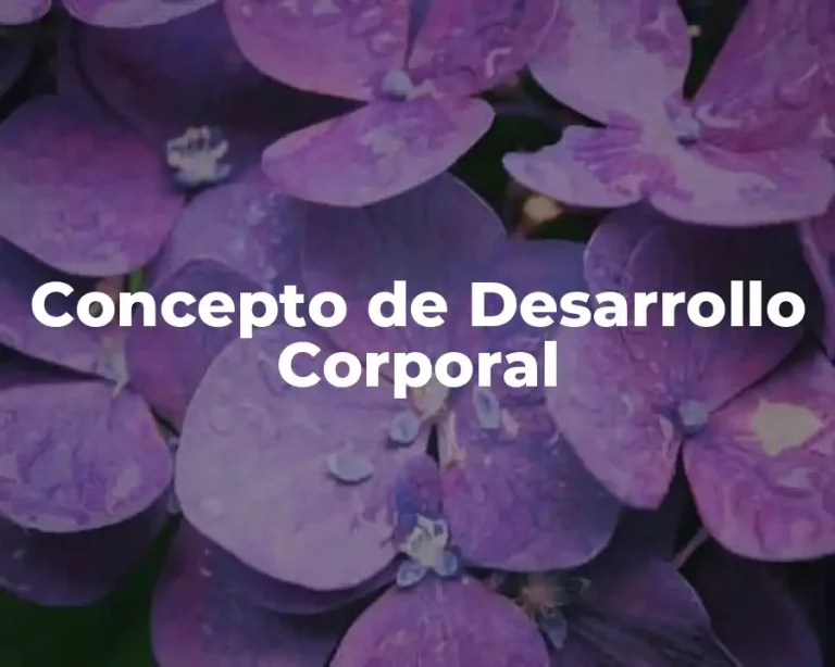 Concepto de Desarrollo Corporal