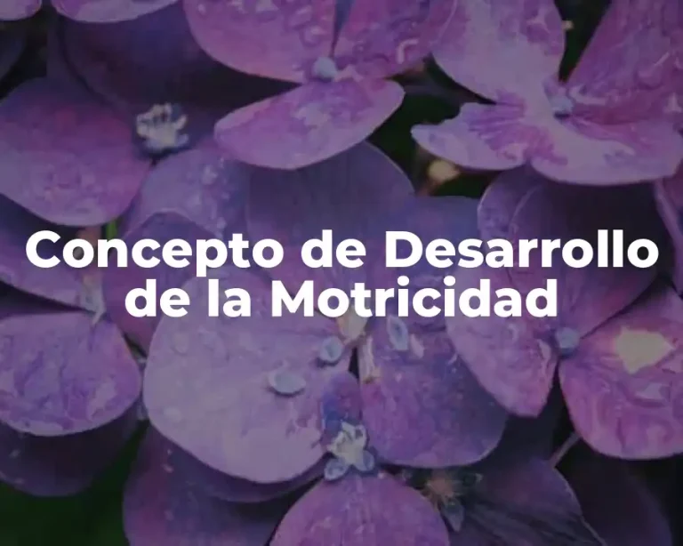 Concepto de Desarrollo de la Motricidad