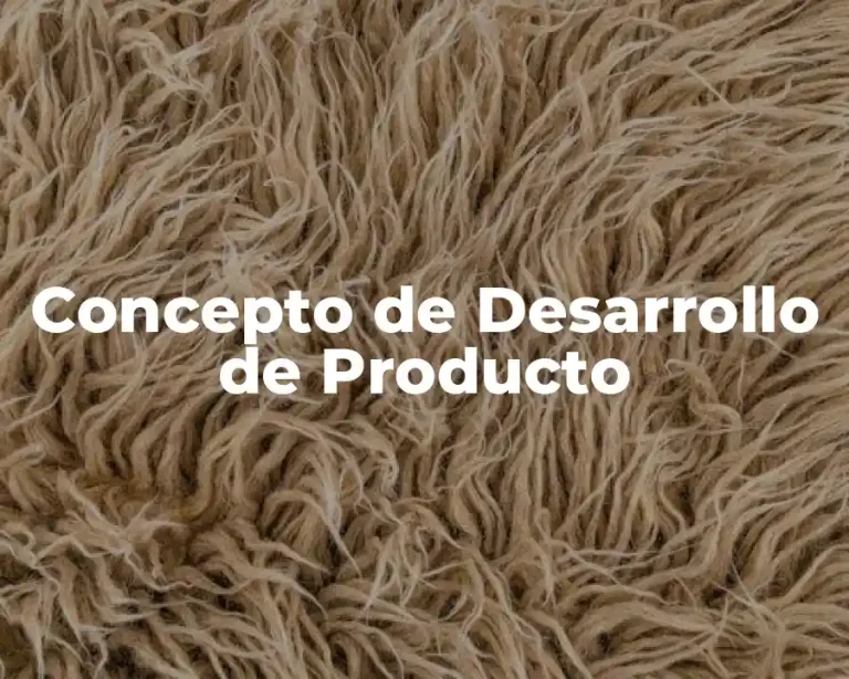 Concepto de Desarrollo de Producto