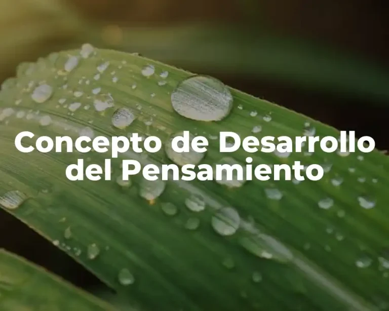 Concepto de Desarrollo del Pensamiento