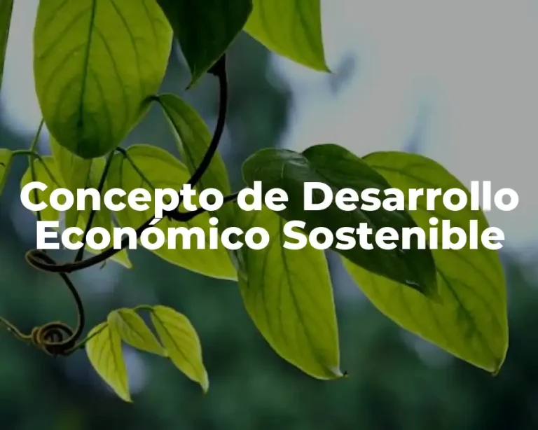 Concepto de Desarrollo Económico Sostenible