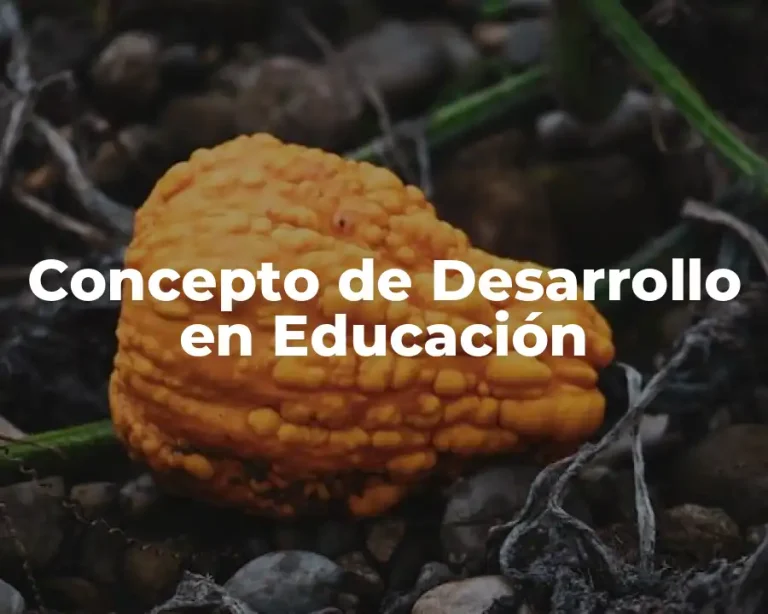 Concepto de Desarrollo en Educación