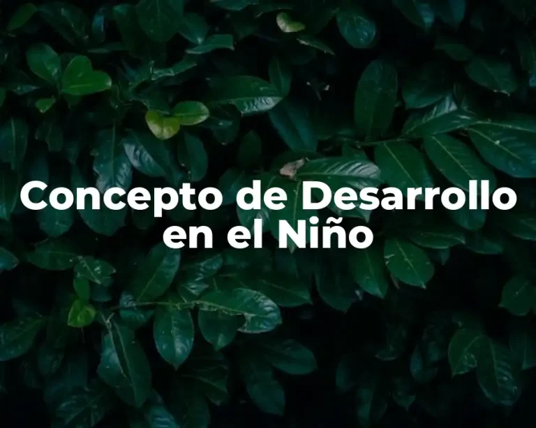 Concepto de Desarrollo en el Niño