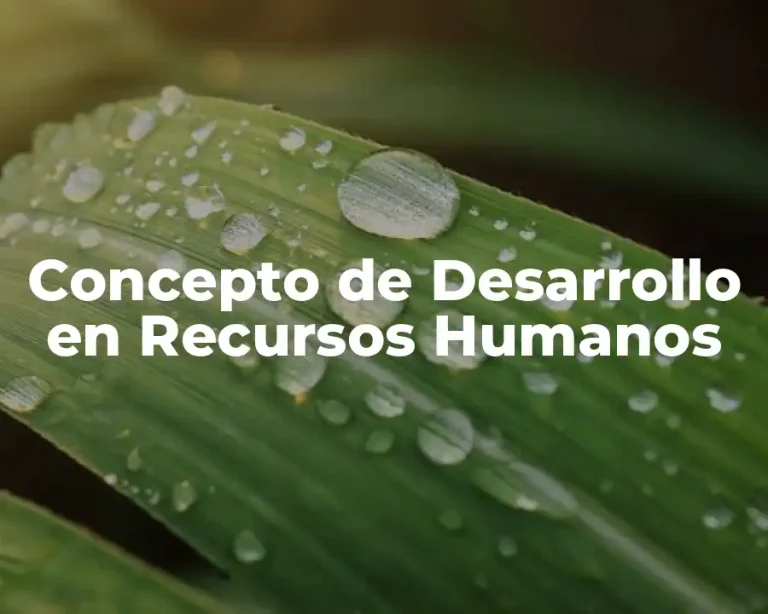 Concepto de Desarrollo en Recursos Humanos