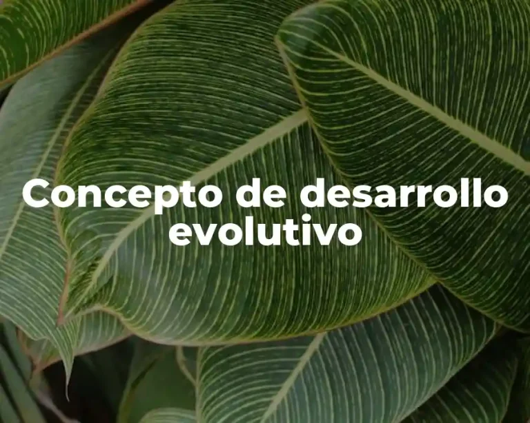 Concepto de desarrollo evolutivo