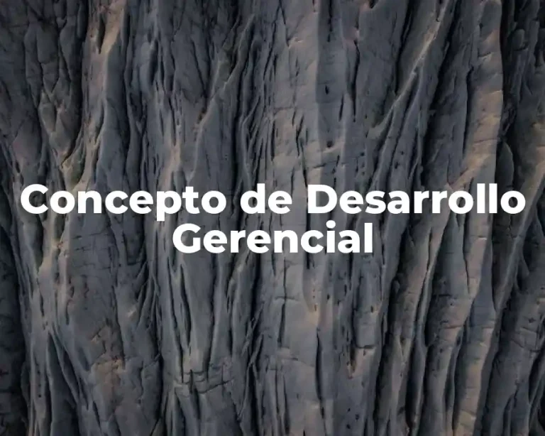 Concepto de Desarrollo Gerencial