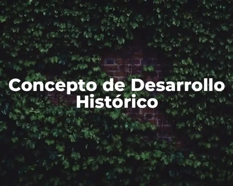 Concepto de Desarrollo Histórico
