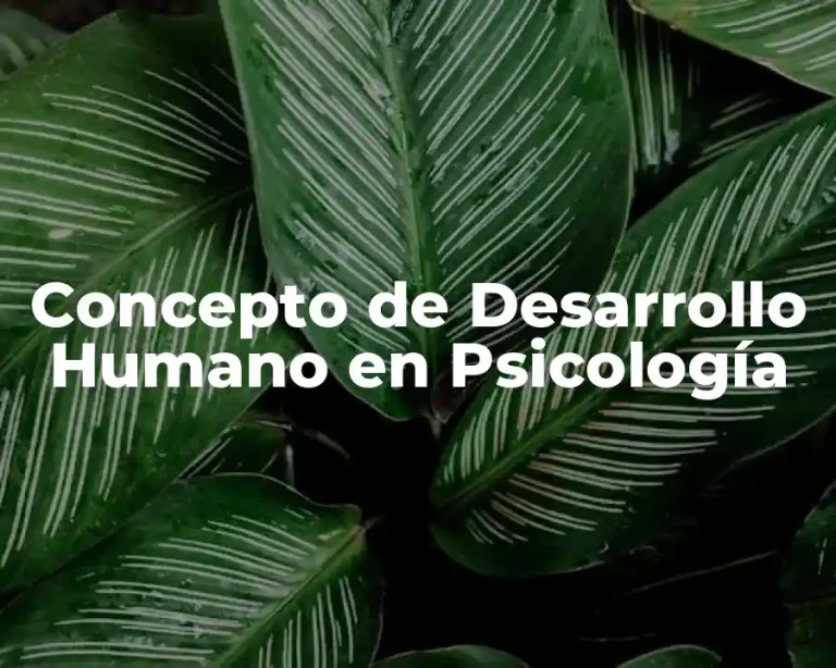 Concepto de Desarrollo Humano en Psicología