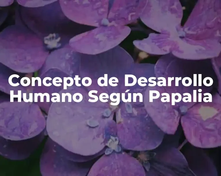 Concepto de Desarrollo Humano Según Papalia