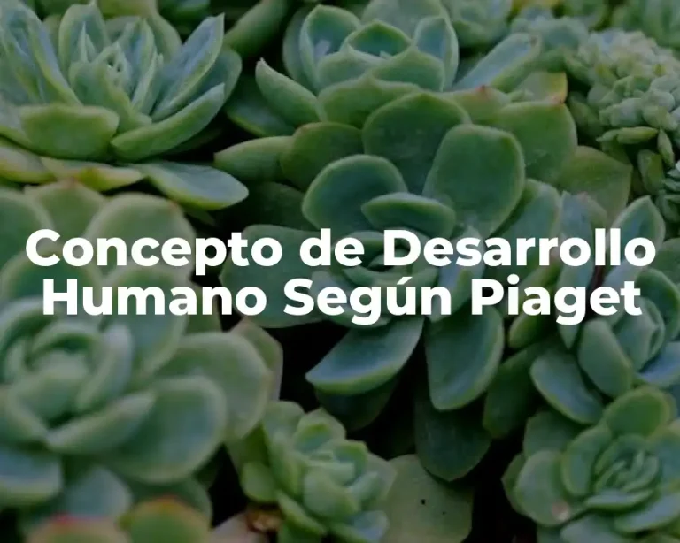 Concepto de Desarrollo Humano Según Piaget