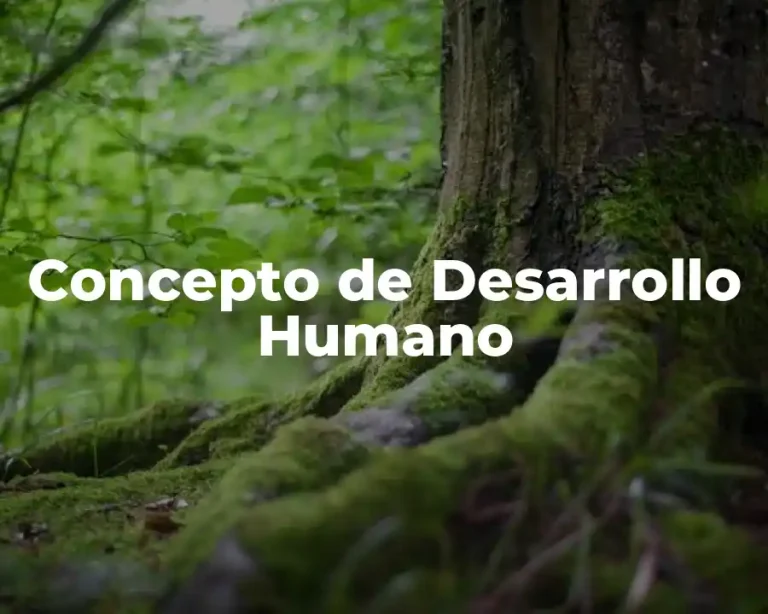 Concepto de Desarrollo Humano