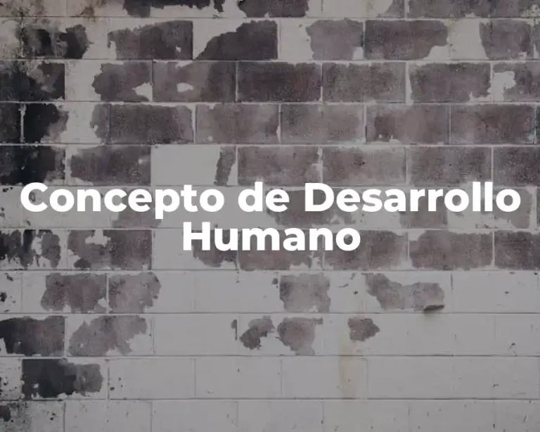 Concepto de Desarrollo Humano