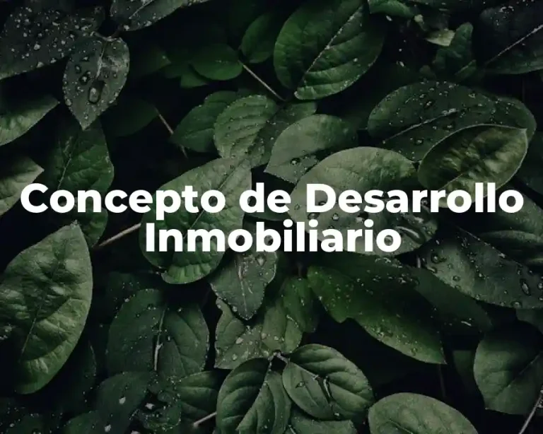 Concepto de Desarrollo Inmobiliario