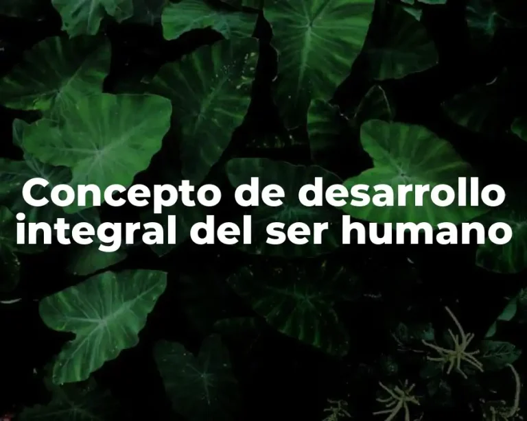 Concepto de desarrollo integral del ser humano
