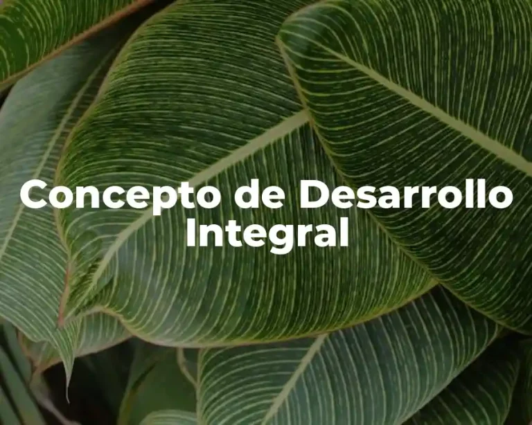 Concepto de Desarrollo Integral