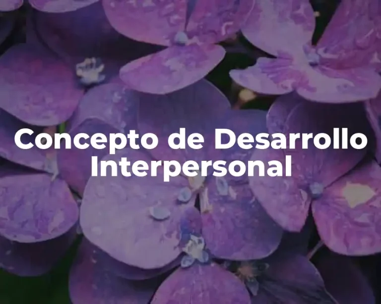 Concepto de Desarrollo Interpersonal