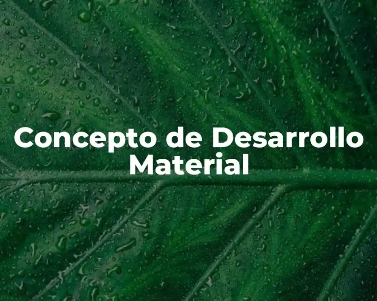 Concepto de Desarrollo Material
