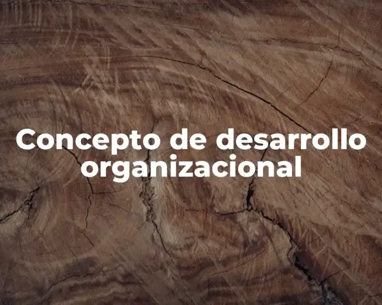 Concepto de desarrollo organizacional