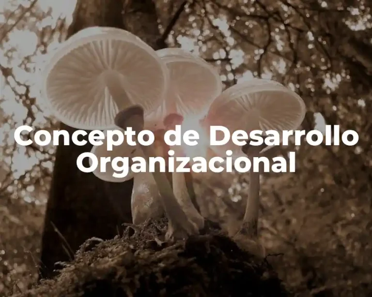 Concepto de Desarrollo Organizacional