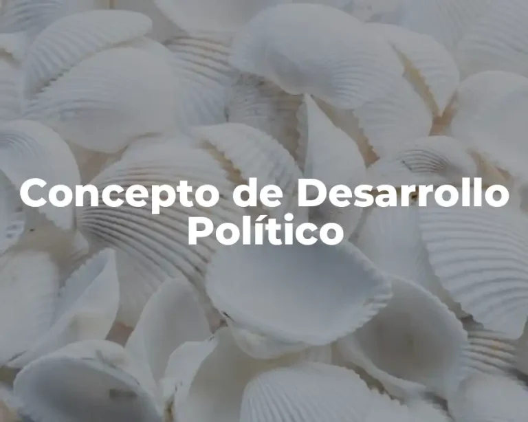 Concepto de Desarrollo Político