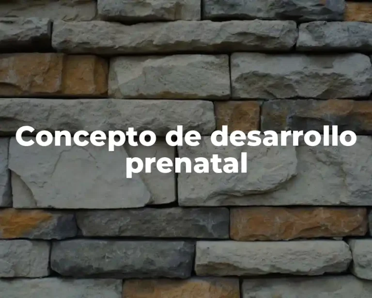 Concepto de desarrollo prenatal