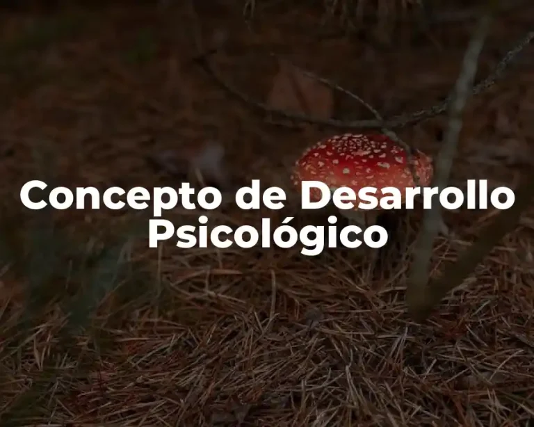 Concepto de Desarrollo Psicológico