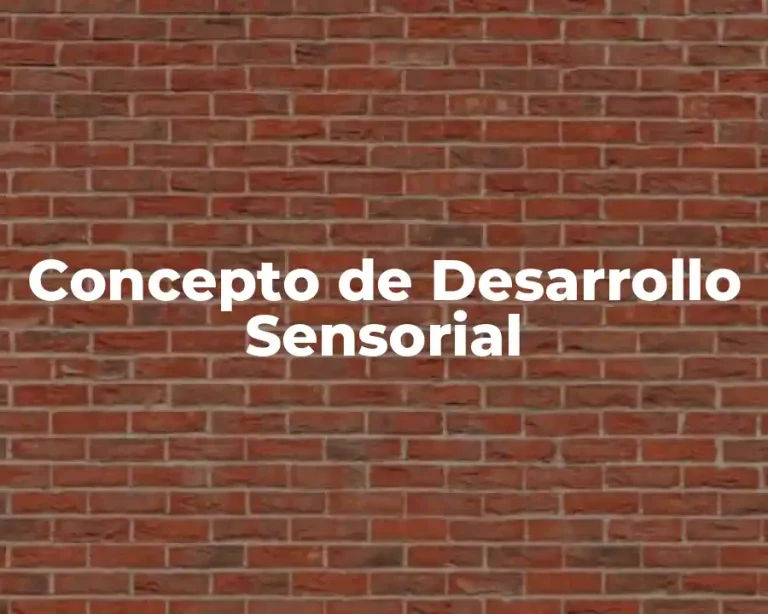 Concepto de Desarrollo Sensorial