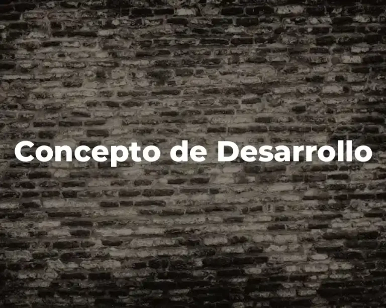 Concepto de Desarrollo