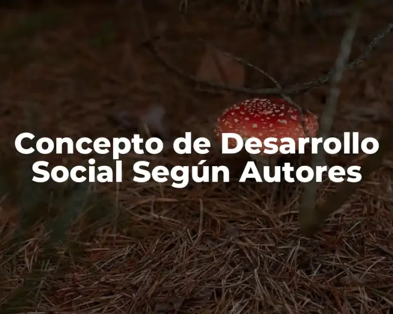 Concepto de Desarrollo Social Según Autores