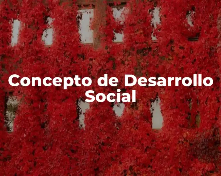 Concepto de Desarrollo Social