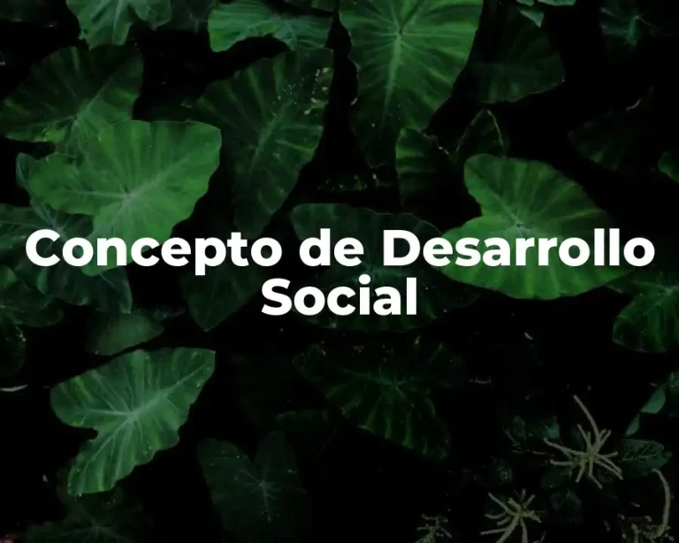 Concepto de Desarrollo Social